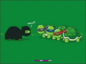 Ninja želvy