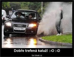 Dobře trefená kaluž!