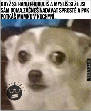 O kurwa