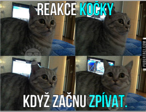 Když začnu zpívat