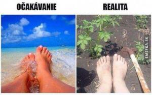 Očekávání vs realita
