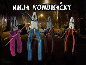 Ninja kombinacky