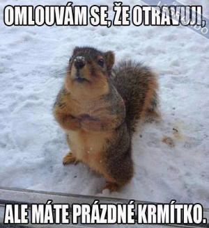 Krmítko