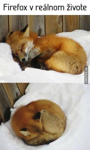 Firefox v reálném životě