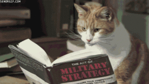 I kočky umí číst  