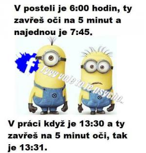 Ranní pauza a pauza v práci