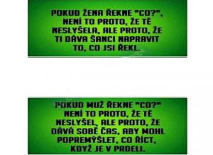 Žena vs muž