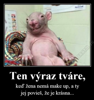 Ten výraz