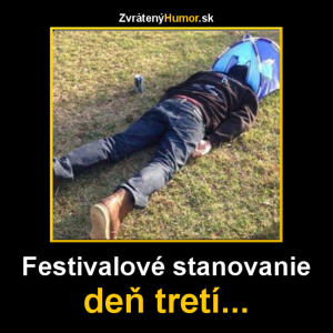 Festival - stan