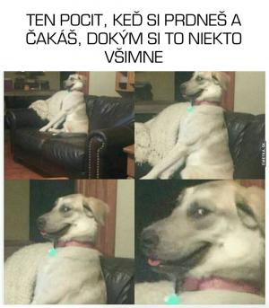 Já niiic