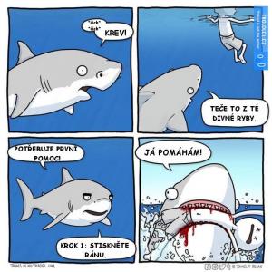 Když ti chce žralok jen pomoct 