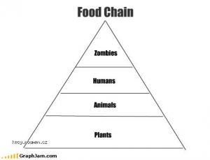 chart memes food chain