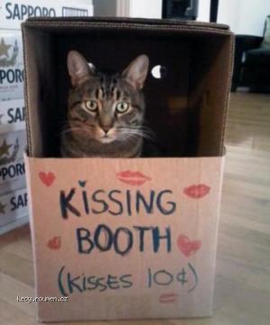 Kissing booth 2
