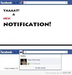 facebook notification