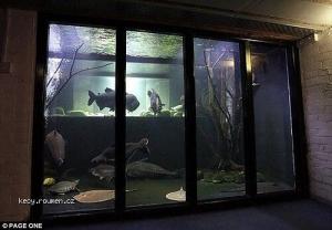 A huge Aquarium in his House