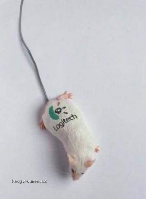 1mouse