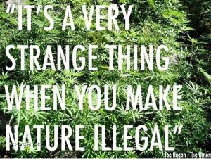 Nature Illegal