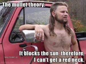 The mullet theory