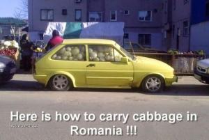 carry cabbage in romania