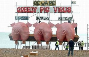 beware pigs virus