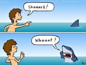 Shaark