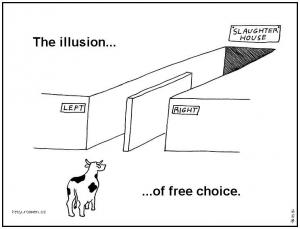 the illusion