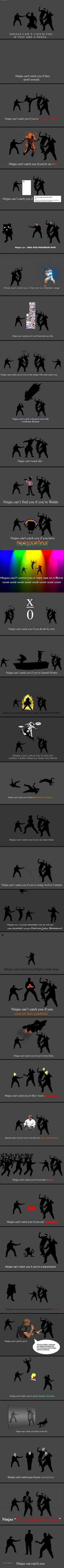 ninjas cant catch you
