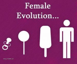 X Female evolution