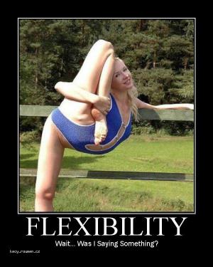 flexibilita