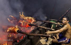 The making of Balis incredible pig roast