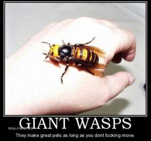 Giant Wasps