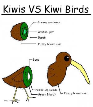 Kiwi VS Kiwi