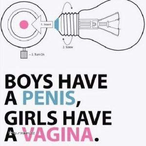 Boys have a penis