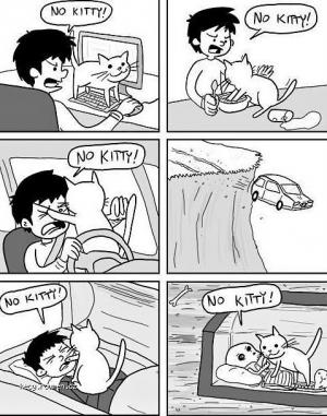No kitty