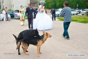 Wedding Photography Fails 6