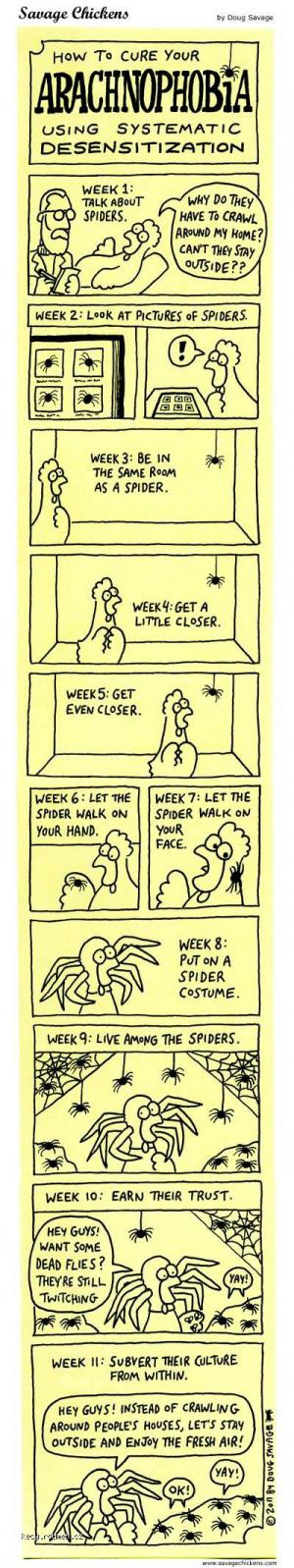 how to cure your arachnophobia