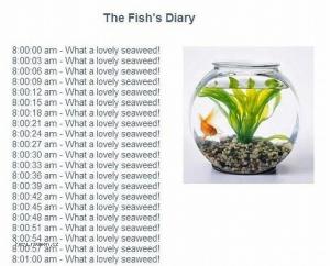 The fishs diary