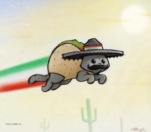 mexican nyan cat by robthedoodlerd47aul5