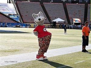 Funny Mascots Seizing the Opportunity2
