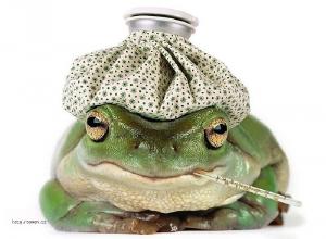 ill frog