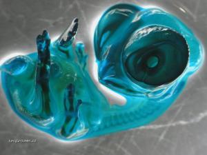 Mikrokosmos  slepici embryo