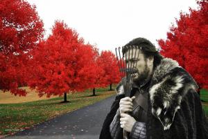 Autumn is coming