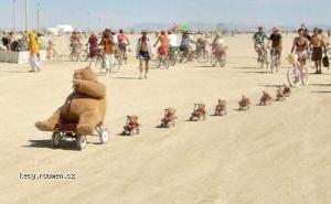 OMG I loooooove little bears in wagons