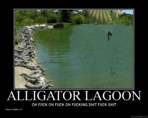 Alligator lagoon