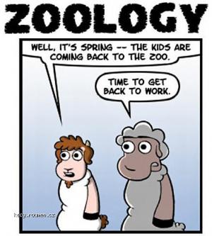 Zoology4  cartoon