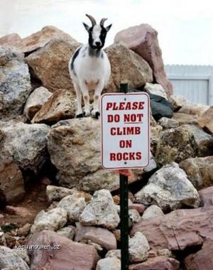 Please do not climb on rocks