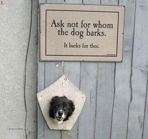 Dogfail  Ask not for