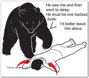 ako to vidi medved