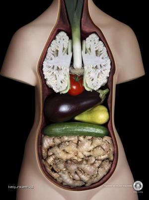 telo vegetarianu