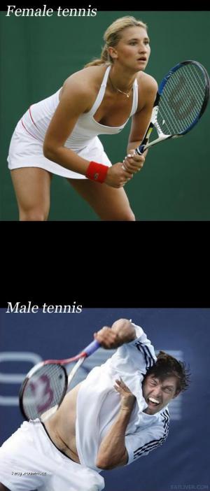 tennis  male vs female